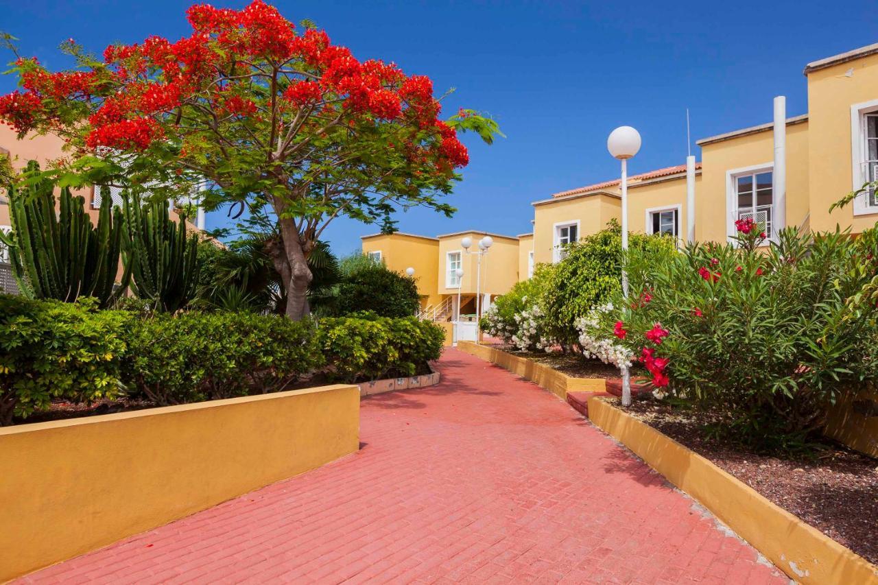 Cozy apartment Orlando Costa Adeje Dış mekan fotoğraf